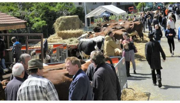 beaucoup-de-monde-attendu-ce-samedi-pour-la-foire-de-printemps-1558024457