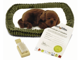 Screenshot 2020-01-31 at 3.41.46 PM