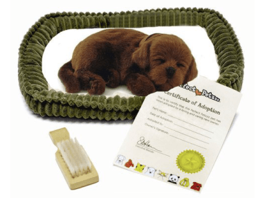 Screenshot 2020-01-31 at 3.41.46 PM